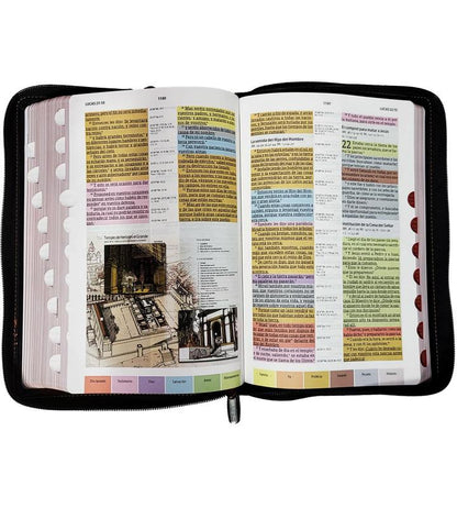Veraluna 1960 Large Print Study Bible